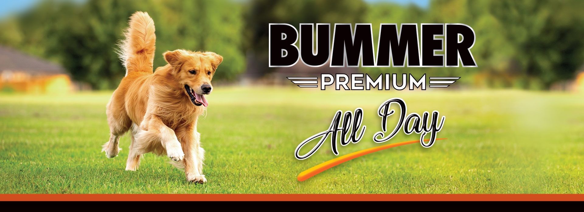 Bummer Premium