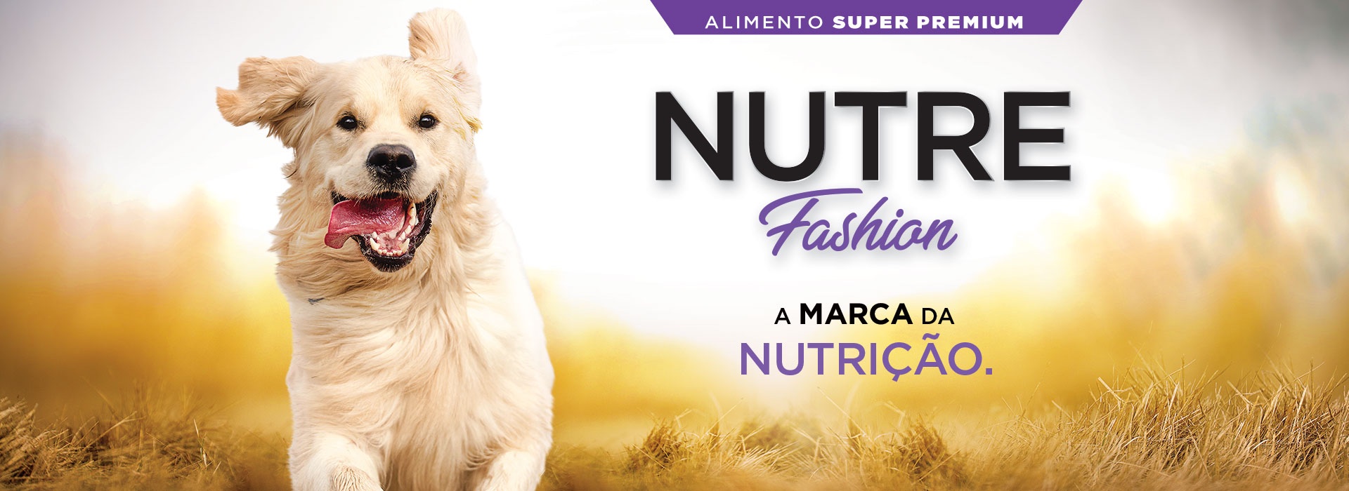 Nutre Fashion Dogs
